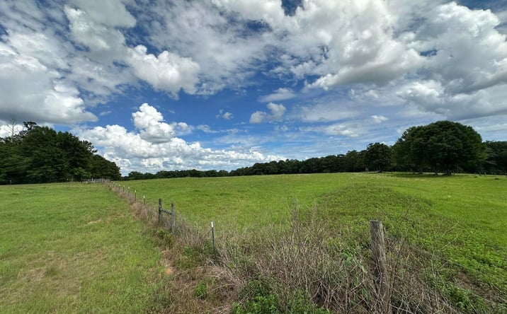 Pictures of Mixed Use property located at County Road 20, Florala, AL 36442 for sales - image #1