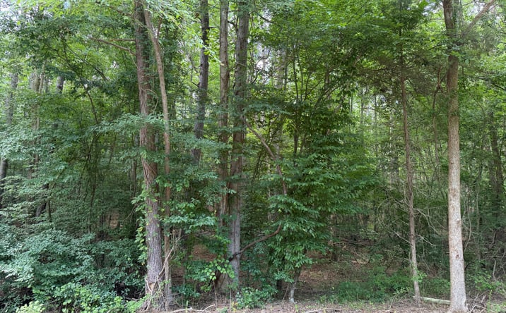 Pictures of Land property located at 9 Rose Creek Rd., Selmer, TN 38375 for sales - image #1