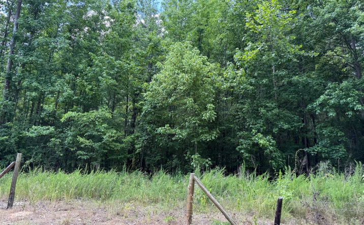 Pictures of Land property located at 10 Rose Creek Rd., Selmer, TN 38375 for sales - image #1