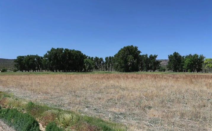 Pictures of Land property located at TBD Shavano Valley Road, 16895, CO 81403 for sales - image #1