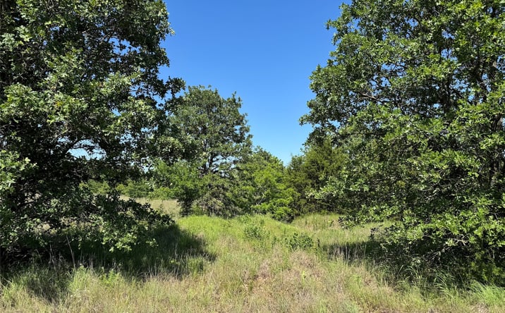 Pictures of Land property located at 2670 Buck Horn Road, Healdton, OK 73438 for sales - image #1