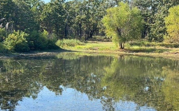 Pictures of Land property located at 1397 County Road 2150, Skiatook, OK 74070 for sales - image #1