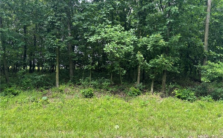 Pictures of Land, Special Purpose property located at Lot 3063 Lake Viking Terrace, Altamont, MO 64620 for sales - image #1
