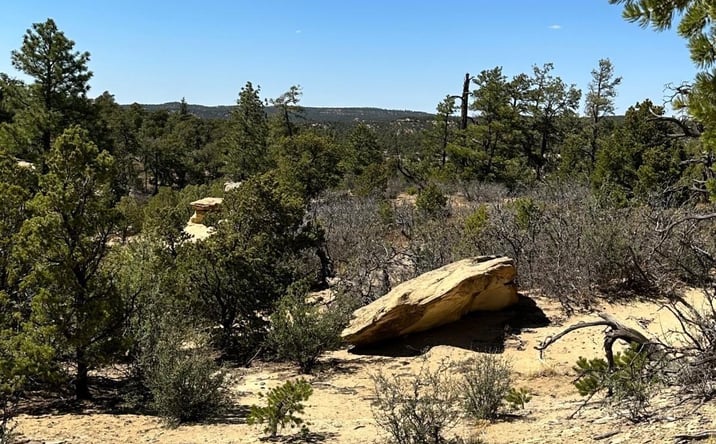 Pictures of Land, Special Purpose property located at XX Ranchero Road, Datil, NM 87827 for sales - image #1