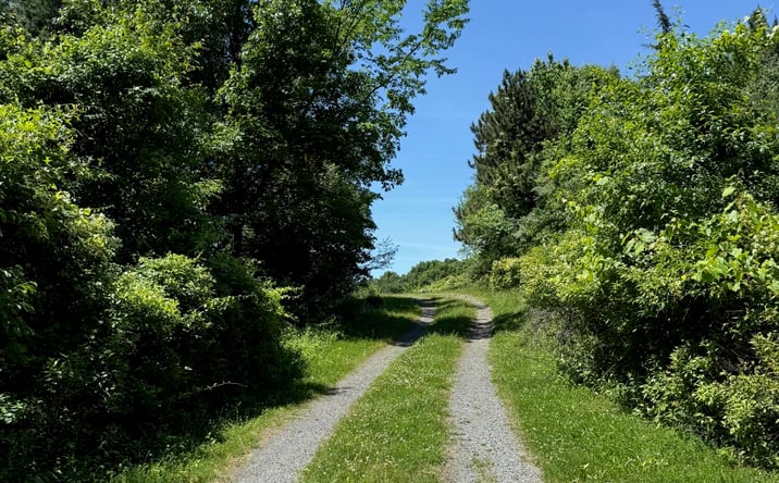 Pictures of Land property located at 2505 County Road 21, Valatie, NY 12184 for sales - image #1