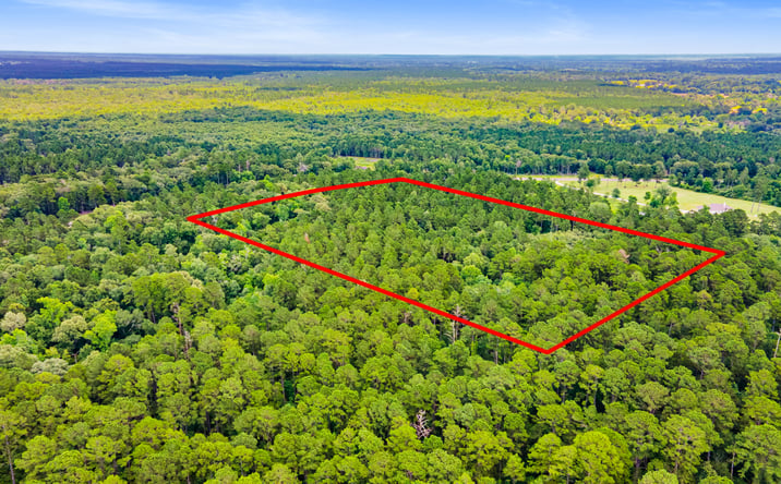 Pictures of Land property located at 00 FM 230, Trinity, TX 75862 for sales - image #1