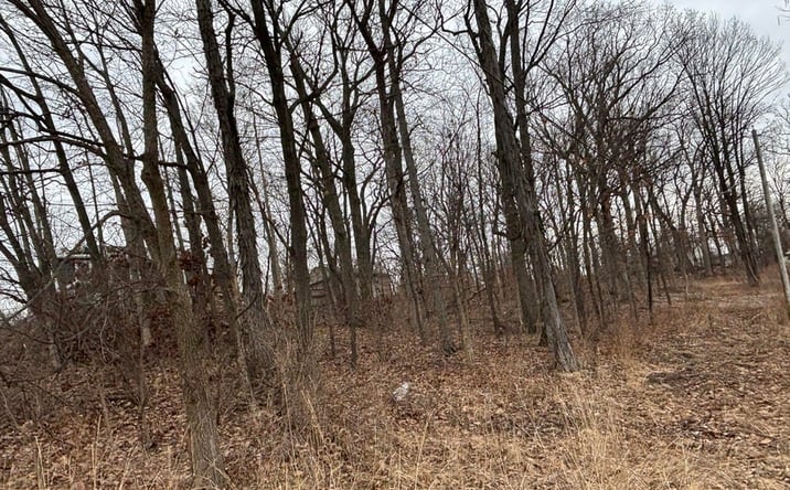 Pictures of Land property located at West 128th Avenue, Cedar Lake, IN 46303 for sales - image #1