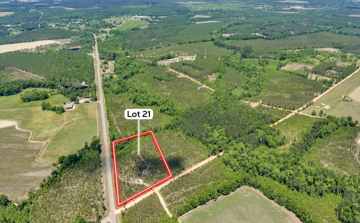 Pictures of Land property located at 21 Hwy 126, Cadwell, GA 31009 for sales - image #1