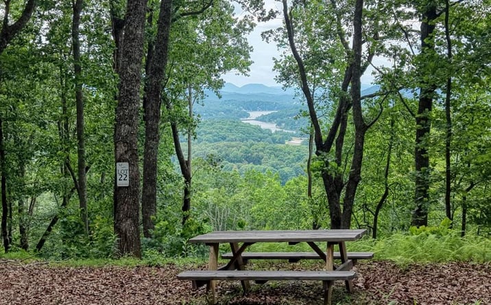 Pictures of Land property located at 22 Buckhead Hills, Hiawassee, GA 30546 for sales - image #1