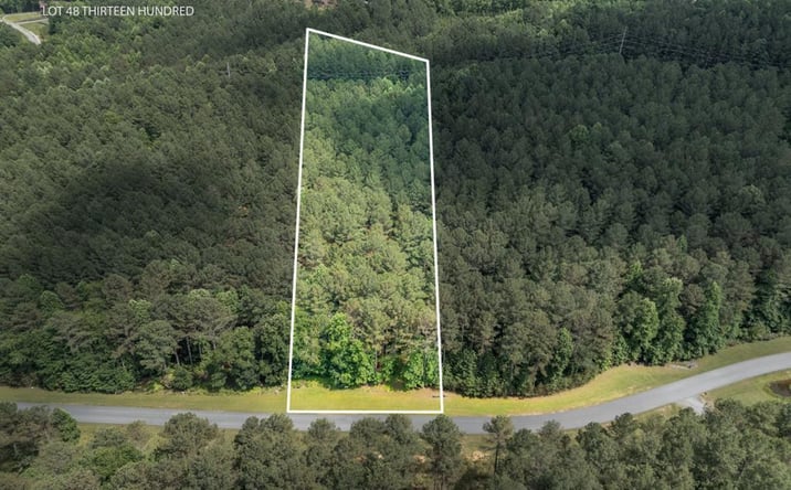 Pictures of Land property located at Lot 48 Thirteen Hundred, Blairsville, GA 30512 for sales - image #1