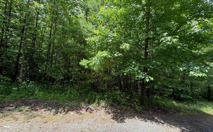 Pictures of Land property located at 2.75AC Quail Ridge Road, Epworth, GA 30541 for sales - image #1