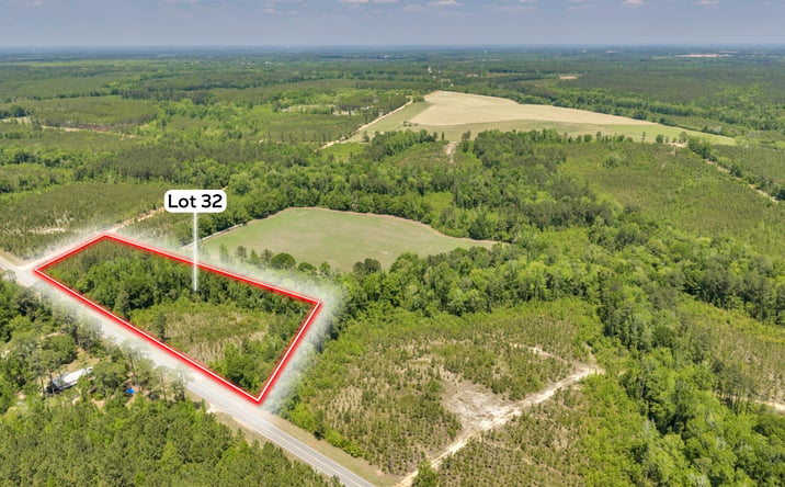 Pictures of Land property located at 32 Hwy 126, adwell, GA 31009 for sales - image #1