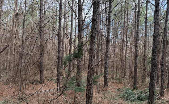 Pictures of Land property located at Pyburn Dr. Tract 4, Savannah, TN 38372 for sales - image #1