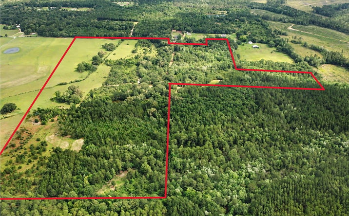 Pictures of Land property located at 3395 Helms Farm Road, Laurel Hill, FL 32567 for sales - image #1