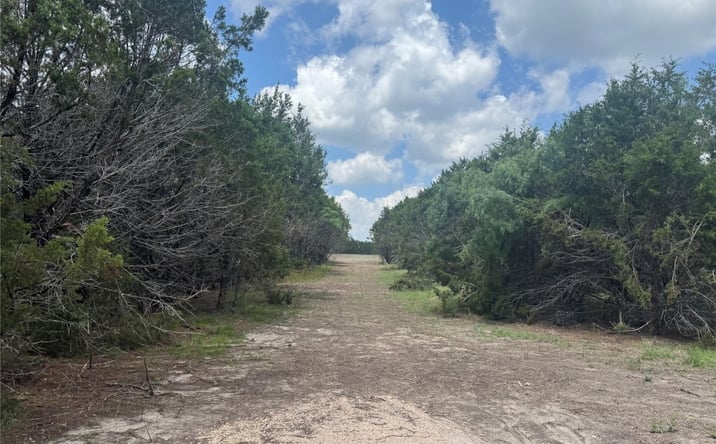 Pictures of Land property located at Lot 52 Long View Dr, Lampasas, TX 76550 for sales - image #1