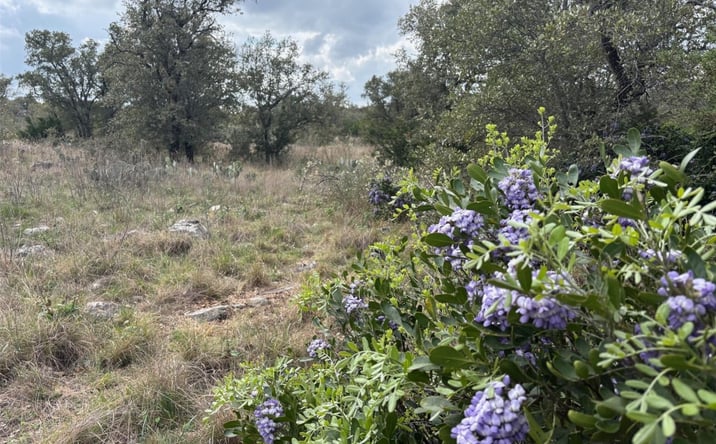 Pictures of Land property located at Lot 34 Eagle Feather, Kingsland, TX 78639 for sales - image #1