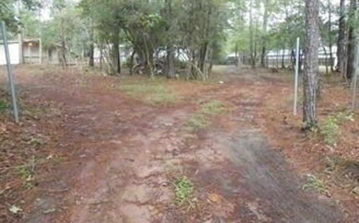 Pictures of Land property located at 40311 FM 149 Rd, Magnolia, TX 77354 for sales - image #1