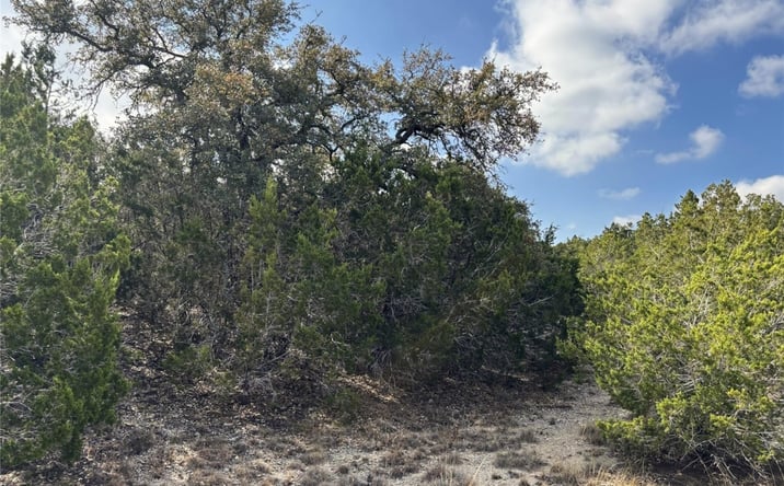 Pictures of Land property located at Tract 9 Burnet Oaks Dr, Burnet, TX 78611 for sales - image #1