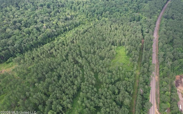 Pictures of Land property located at Highway 48, 69546, MS 39638 for sales - image #1