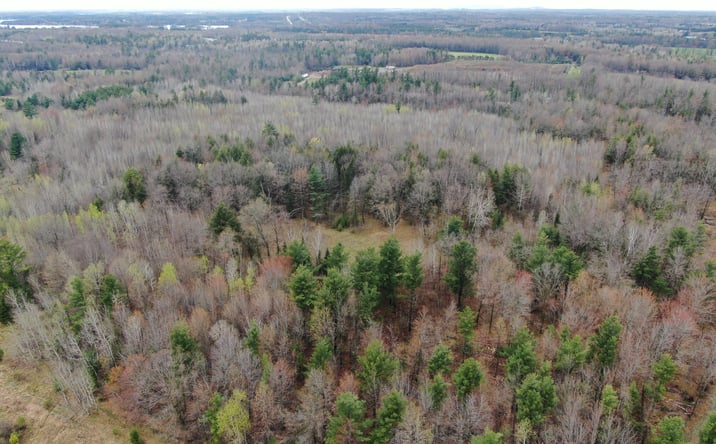 Pictures of Land property located at 120 AC W Oakwood Dr, Mosinee, WI 54455 for sales - image #1