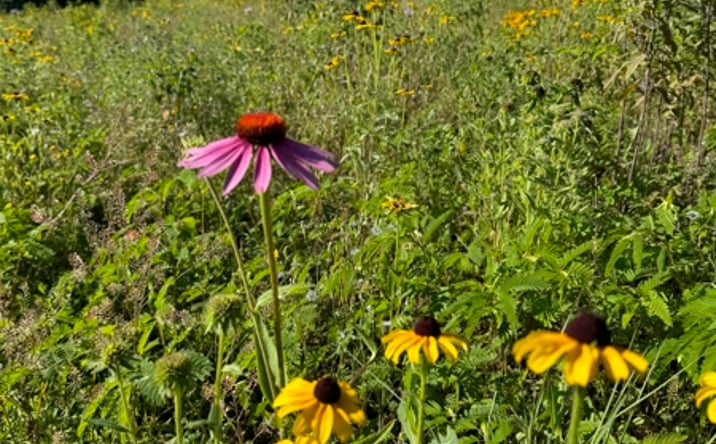 Pictures of Land property located at N4227 Christopher Rd, Rio, WI 53960-9599 for sales - image #1