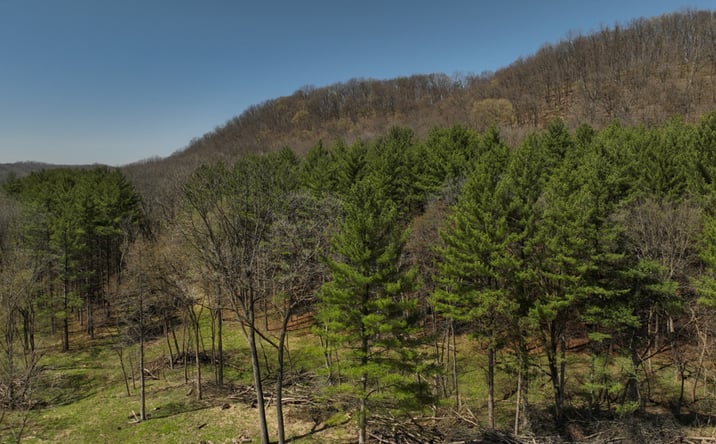 Pictures of Land property located at 17658 Forest Ln, Muscoda, WI 53573-5310 for sales - image #1