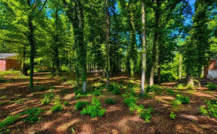 Pictures of Land property located at 418 Dogwood Dr,, Greenwood, SC 29649 for sales - image #1