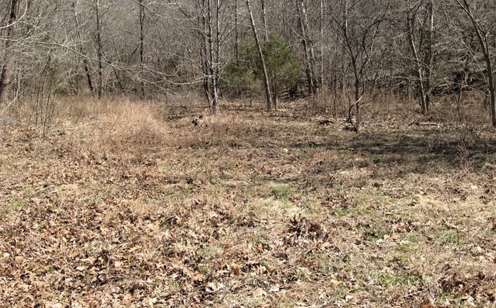 Pictures of Land property located at 000 Superior Road, Saint Robert, MO 65584 for sales - image #1