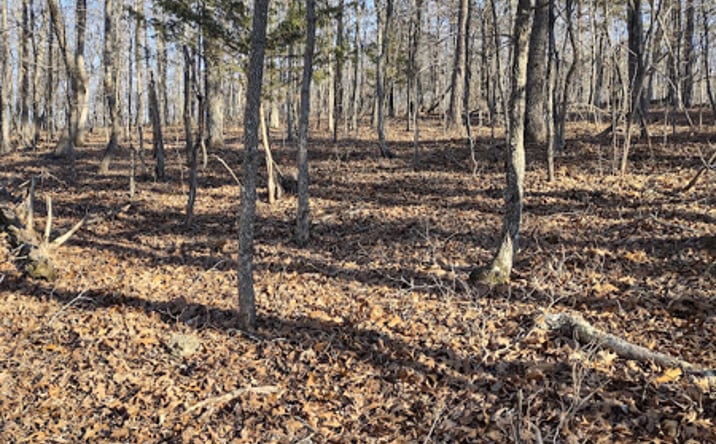 Pictures of Land property located at TBD Moonshine Pass, Salem, MO 65560 for sales - image #1