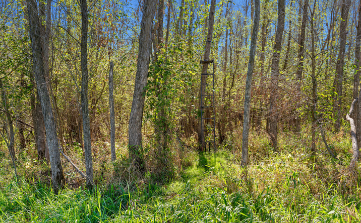 Pictures of Land property located at S2986 Barth Rd, Fountain City, WI 54629 for sales - image #1