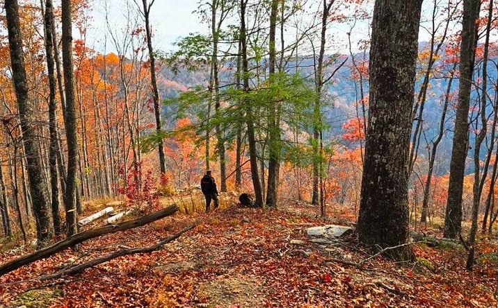 Pictures of Land property located at Mullens, WV, Mullens, WV 25882 for sales - image #1