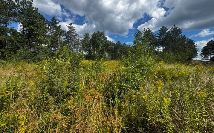 Pictures of Land property located at 80 Ac 13th Ave S, Arkdale, WI 54613 for sales - image #1