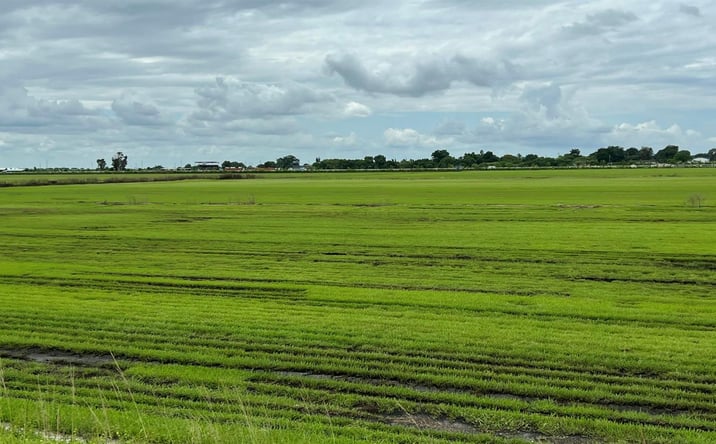 Pictures of Land property located at 400 State Road 80, Belle Glade, FL 33430 for sales - image #1