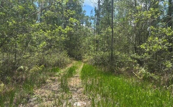 Pictures of Land, Special Purpose property located at 0 water Road, Clermont, FL 33868 for sales - image #1