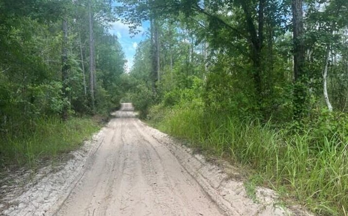 Pictures of Land, Special Purpose property located at 0 Water Road, Clermont, FL 33868 for sales - image #1