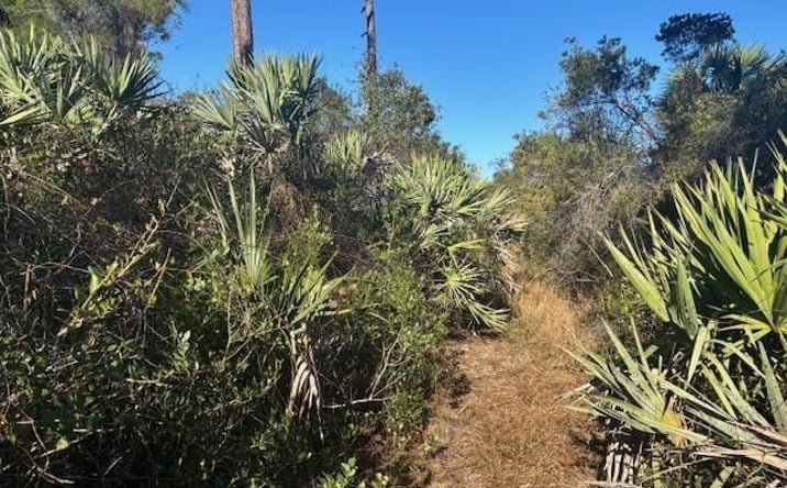 Pictures of Land, Special Purpose property located at 42260 93rd Avenue, Vero Beach, FL 32966 for sales - image #1