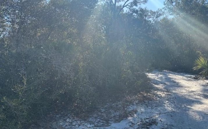 Pictures of Land, Special Purpose property located at 2280 93rd Court, Vero Beach, FL 32966 for sales - image #1