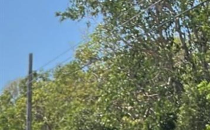 Pictures of Land property located at Card Sound Road, Homestead, FL 33035 for sales - image #1
