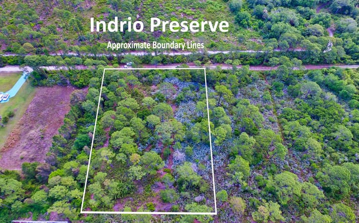 Pictures of Land property located at 00 Bald Cypress Trail, Fort Pierce, FL 34951 for sales - image #1