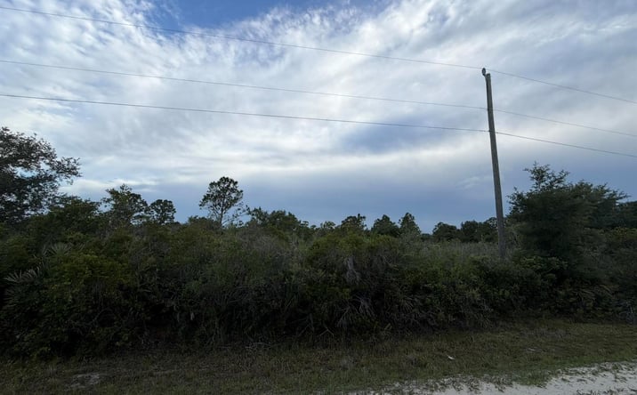 Pictures of Land property located at 15840 NW 298th Street, Okeechobee, FL 34972 for sales - image #1