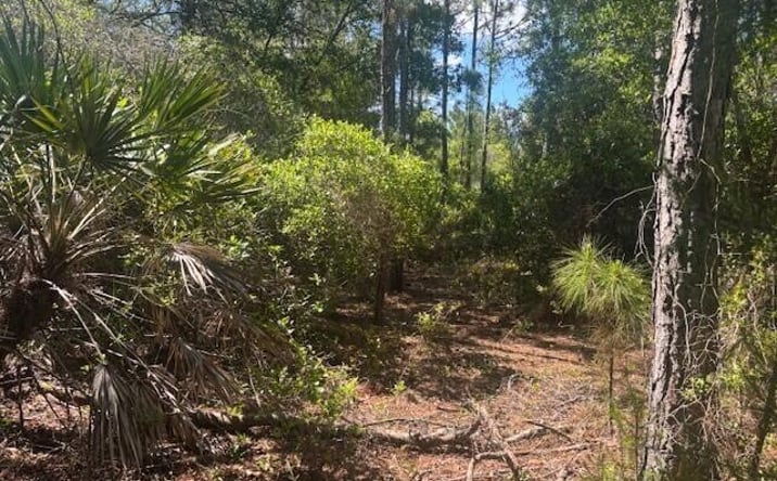 Pictures of Land, Special Purpose property located at 0 Golden Shores Blvd, Mims, FL 32754 for sales - image #1