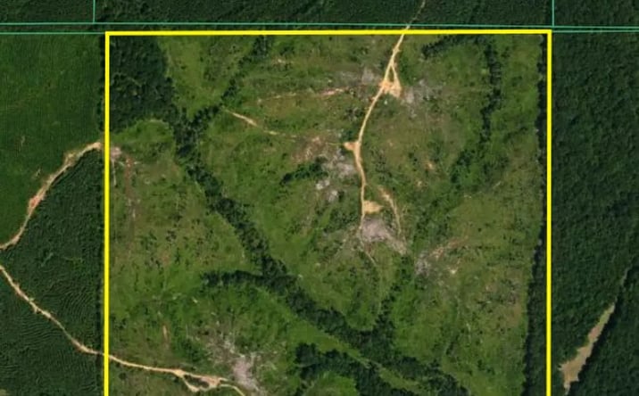 Pictures of Land property located at 0 Cox Road, Kilmichael, MS 39747 for sales - image #1