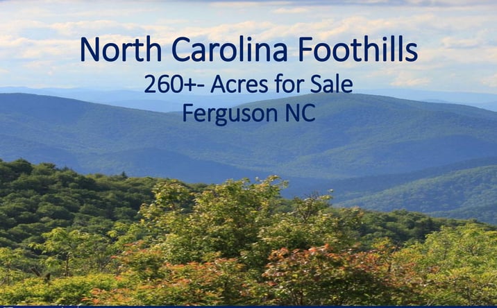 Pictures of Land property located at 260+- Acres, Ferguson, NC 28624-9012 for sales - image #1