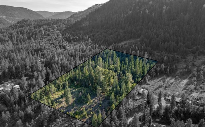 Pictures of Land property located at TBD Dent Avenue, TROY, MT 59935 for sales - image #1