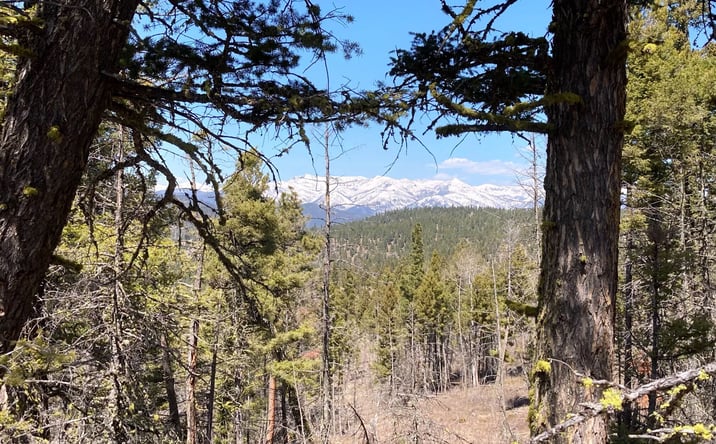 Pictures of Land property located at 3595 Bear Gulch Road, LINCOLN, MT 59639 for sales - image #1