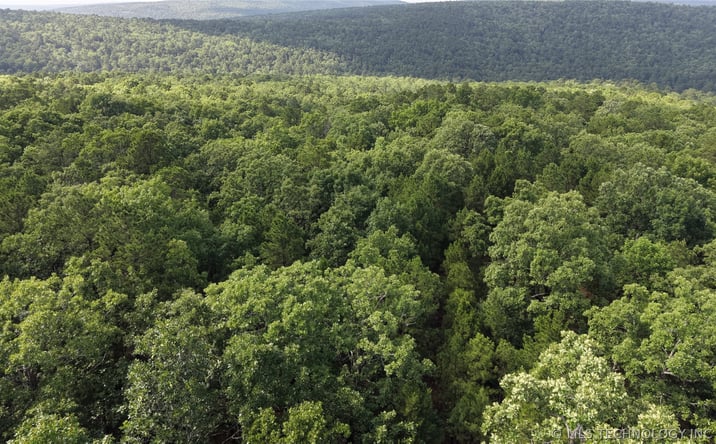 Pictures of Land property located at NE 1060 Road, Panola, OK 74559 for sales - image #1