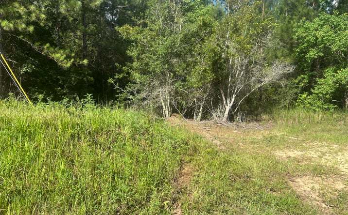Pictures of Land property located at 0 Mississippi 67, Biloxi, MS 39532 for sales - image #1