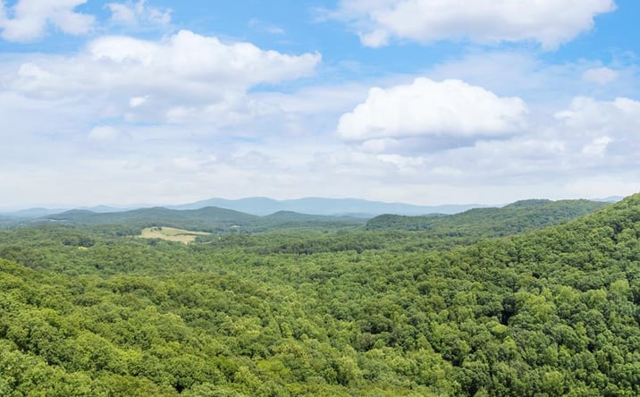 Pictures of Land property located at 57.64 ac Mountain Ash Road, Ellijay, GA 30536 for sales - image #1