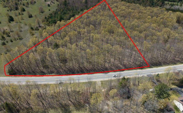 Pictures of Land property located at M-66 S HIGHWAY MANCELONA MI 49659, MANCELONA, MI 49659 for sales - image #1