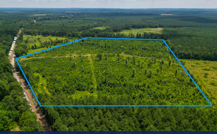 Pictures of Land property located at Old Warren Road, Monticello, AR 71655 for sales - image #1